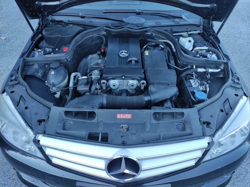 mercedes7