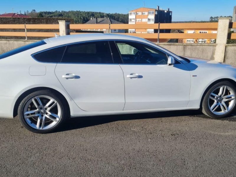 photo_3_2025-12-18_14-14-02