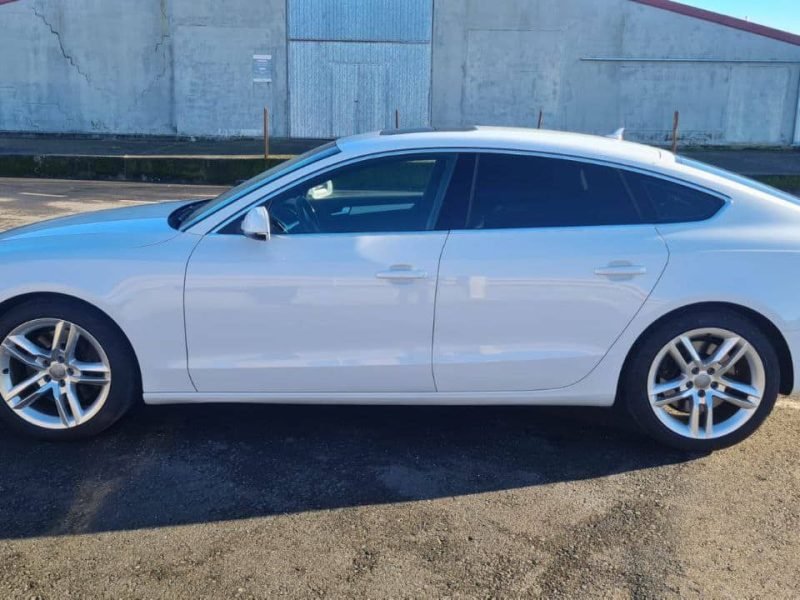 photo_4_2025-12-18_14-14-02