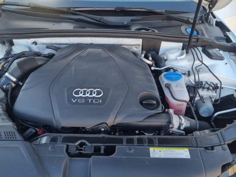 photo_9_2025-12-18_14-14-02